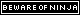 BewareOfNinja.com